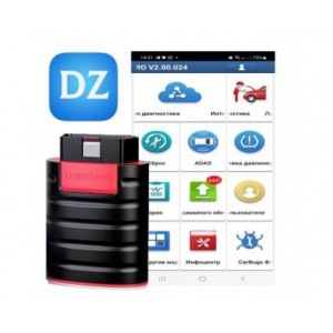 Activation Diagzone Thinkdiag